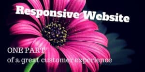 Responsive Website: One part of a great customer experience. The background consists of a beautiful flower growing like a business.|What responsive website design looks like.|Exprance Google Mobile Search Results
