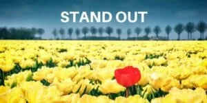 Red flower standing out in a field of yellow flowers: Make A Useful Small Business Website To Stand Out From The Crowd