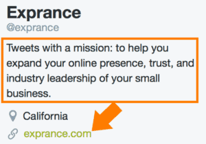 Twitter Profile Bio and Link