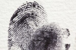 Unique Fingerprint: Find Personal Brand Website Examples For The Rest of Us|Mel's Learning Lab|JD's Just Curious Blog|Jarche.com|Technkl